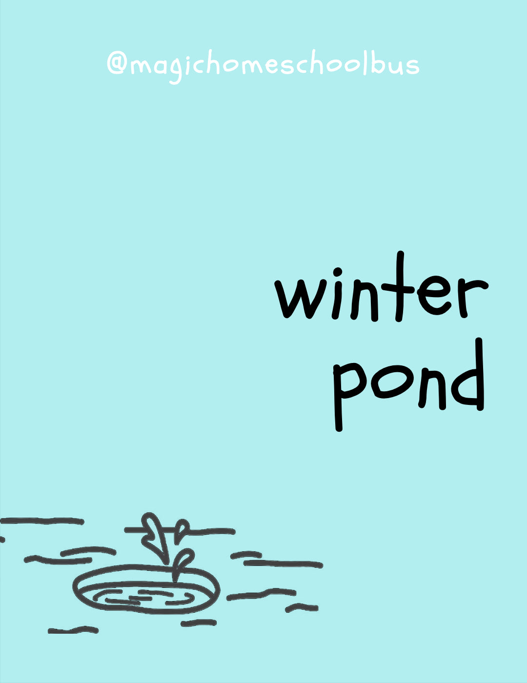 Magic Homeschool Bus - Winter Pond Study