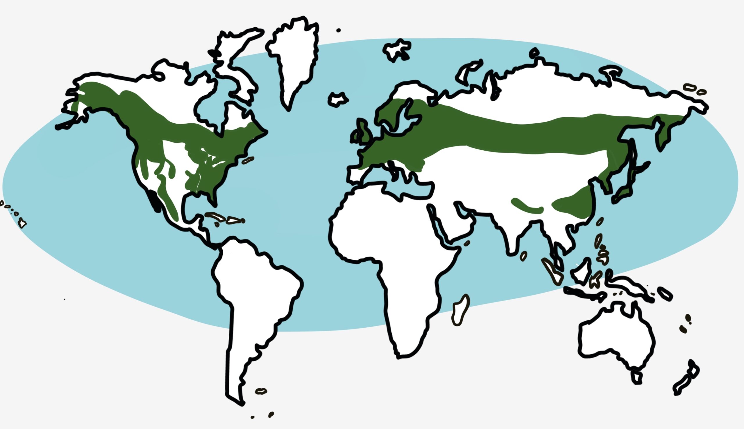 Forests and Woodlands