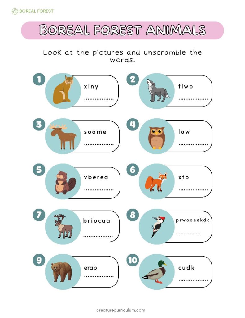 Boreal Forest Word Scramble