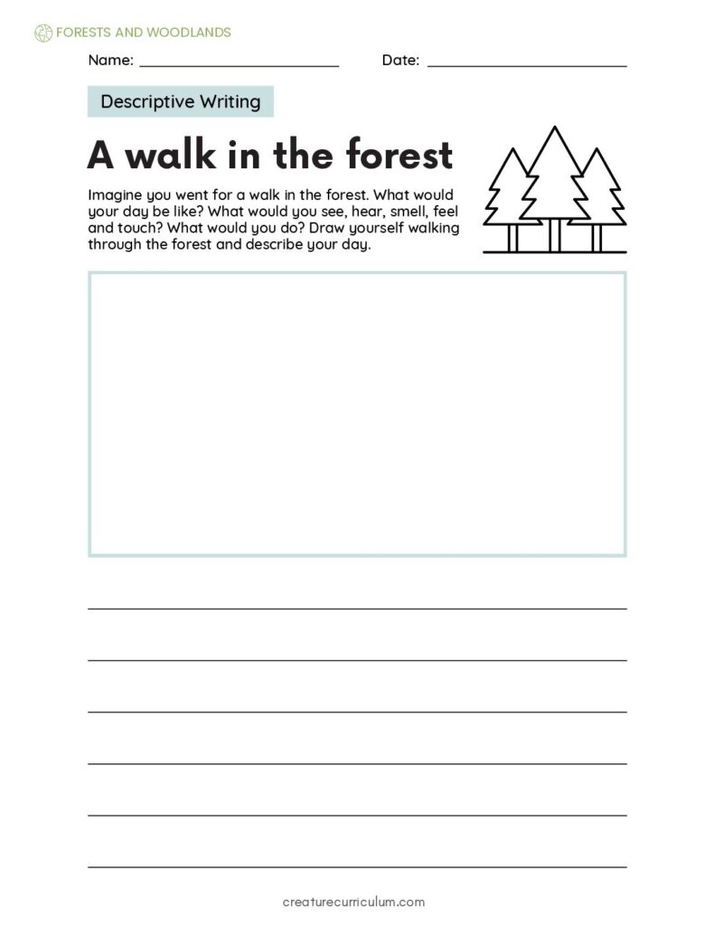 Forest Descriptive Writing