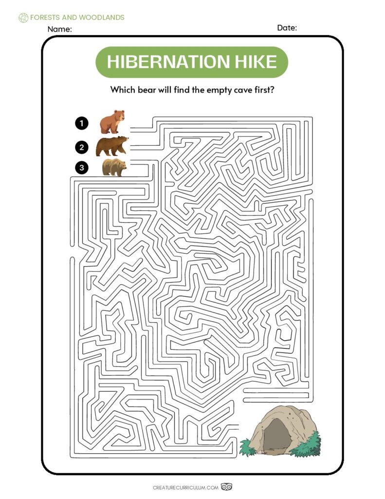 Hibernation Hike Maze