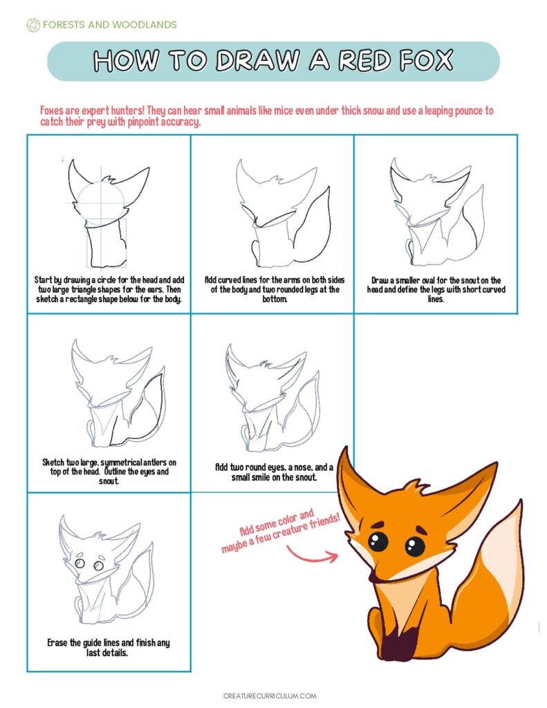 How to Draw a Red Fox