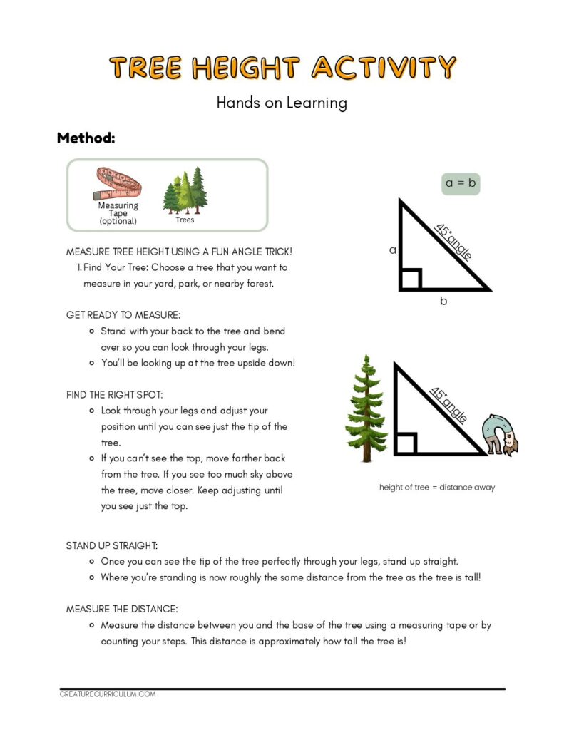 Tree Height Activity