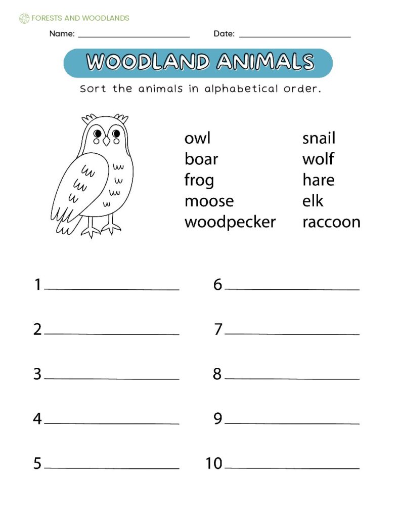 Woodland Animal Sorting