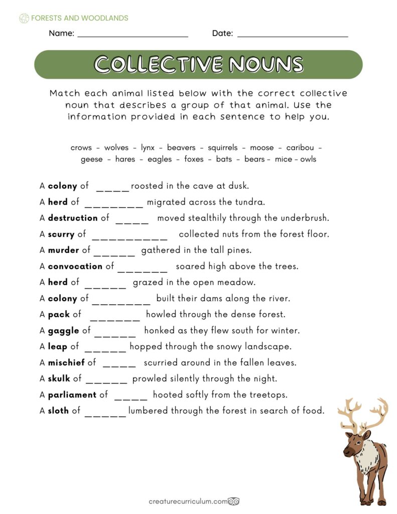 Collective Nouns