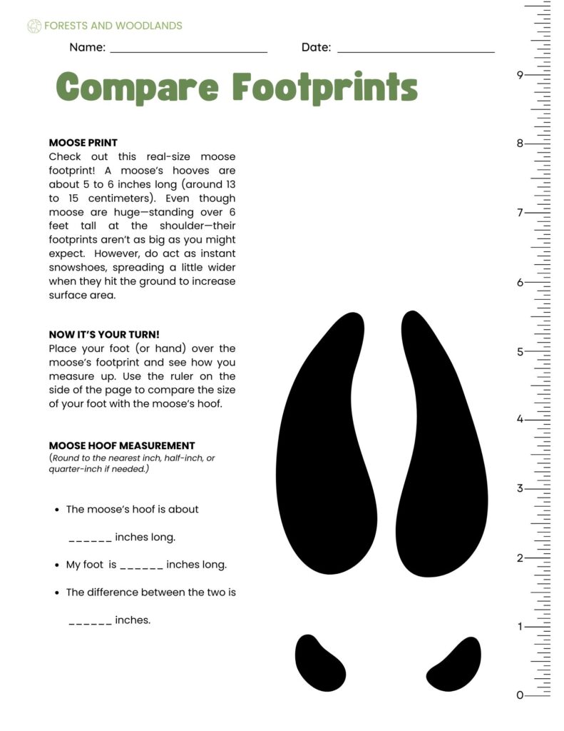 Compare Footprints - Moose