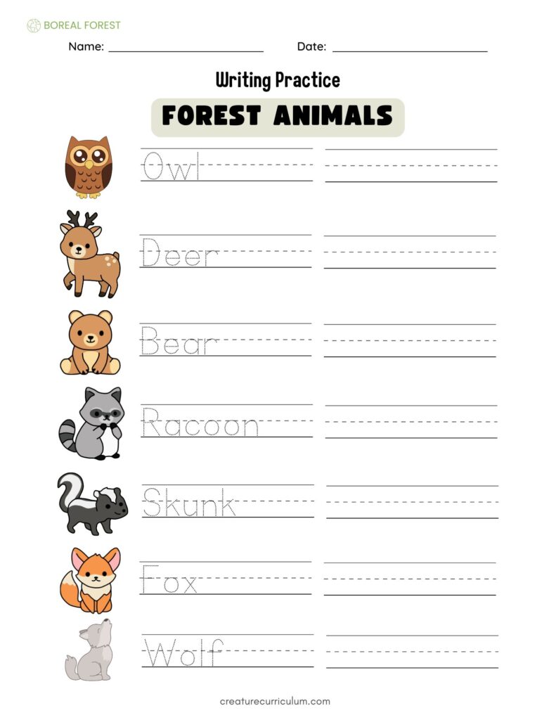 Forest Animal Writing Practice