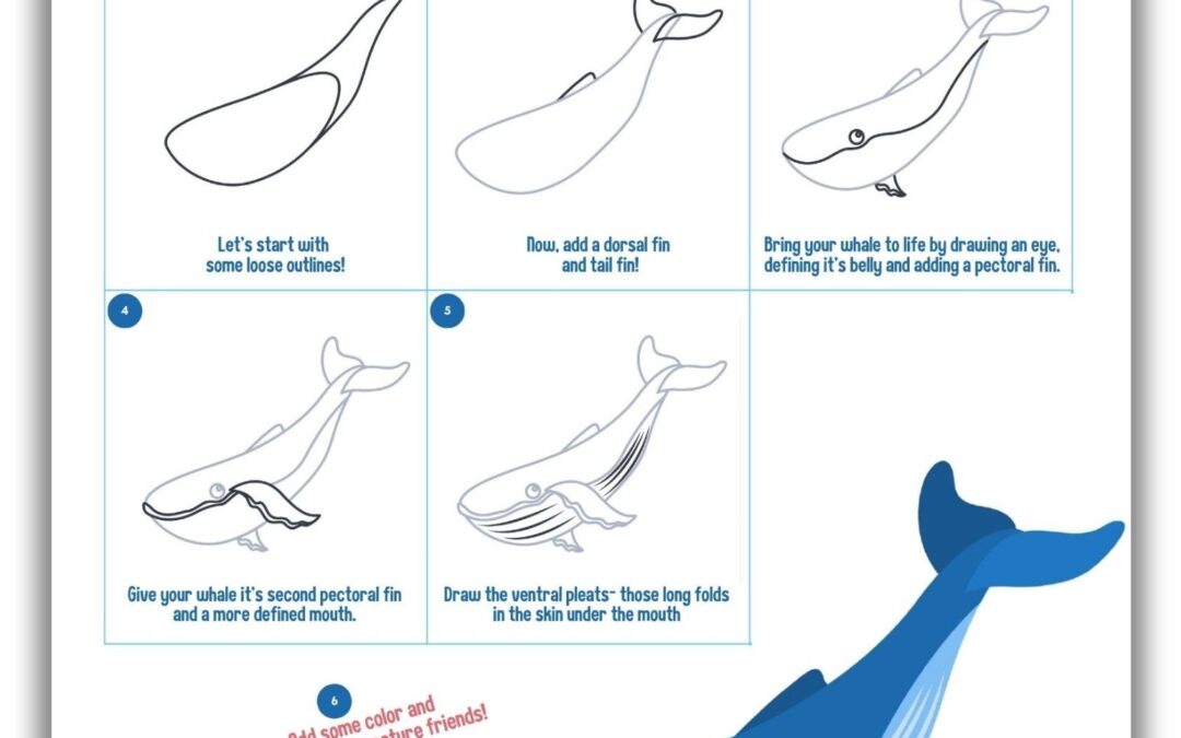 How to Draw a Whale