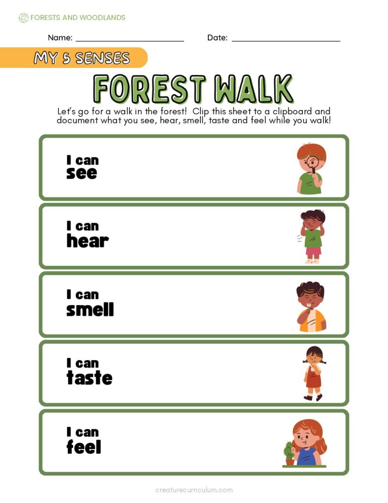 5 Senses Forest Walk