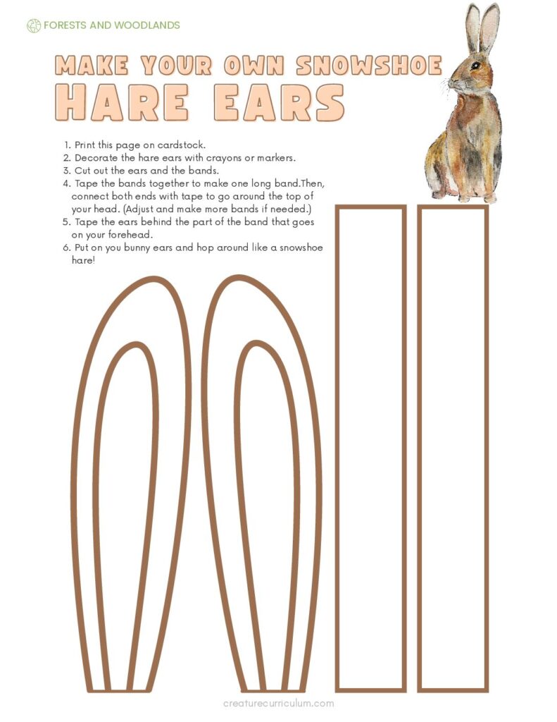 Snowshoe Hare Ears Template