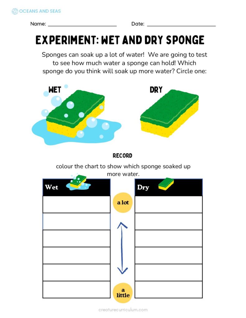 Wet and Dry Sponge